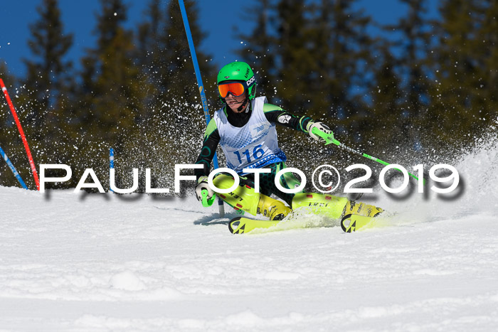 SVM U14/U16 Slalom 17.02.2019