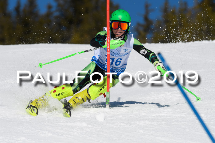 SVM U14/U16 Slalom 17.02.2019