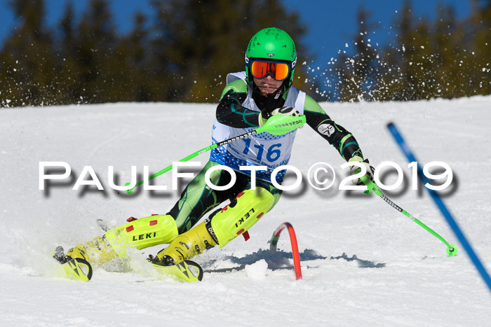 SVM U14/U16 Slalom 17.02.2019