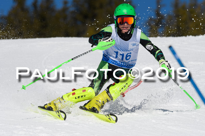 SVM U14/U16 Slalom 17.02.2019