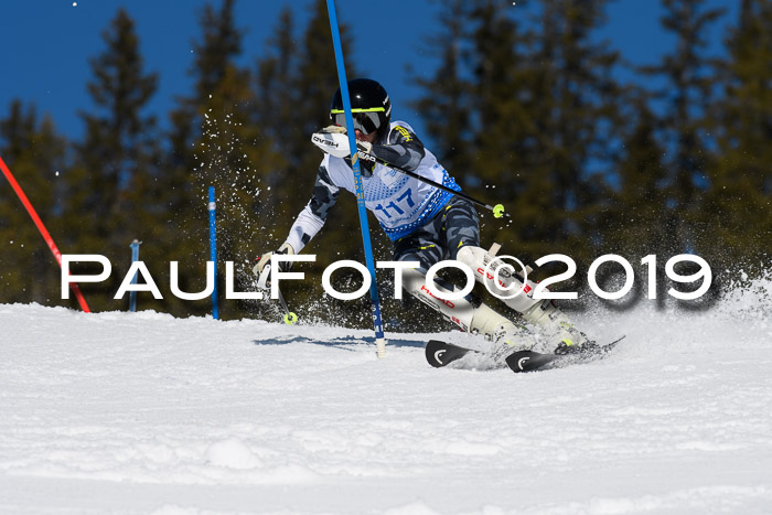 SVM U14/U16 Slalom 17.02.2019