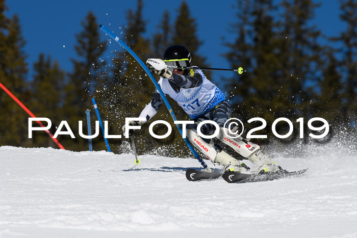 SVM U14/U16 Slalom 17.02.2019