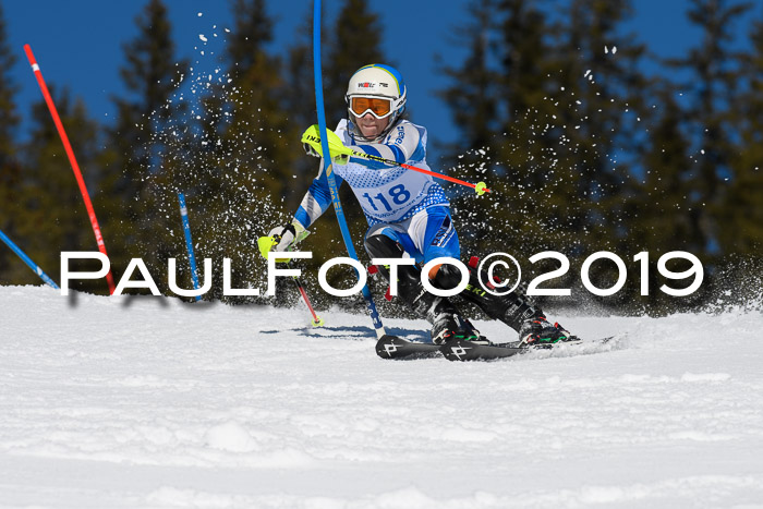 SVM U14/U16 Slalom 17.02.2019