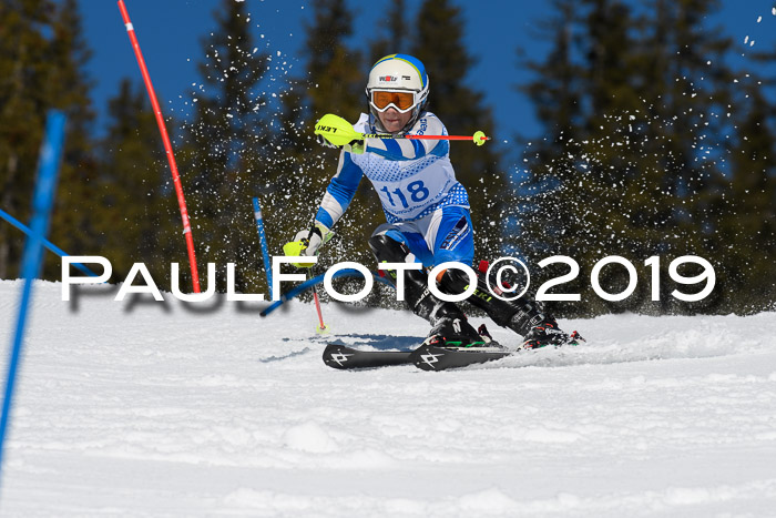 SVM U14/U16 Slalom 17.02.2019