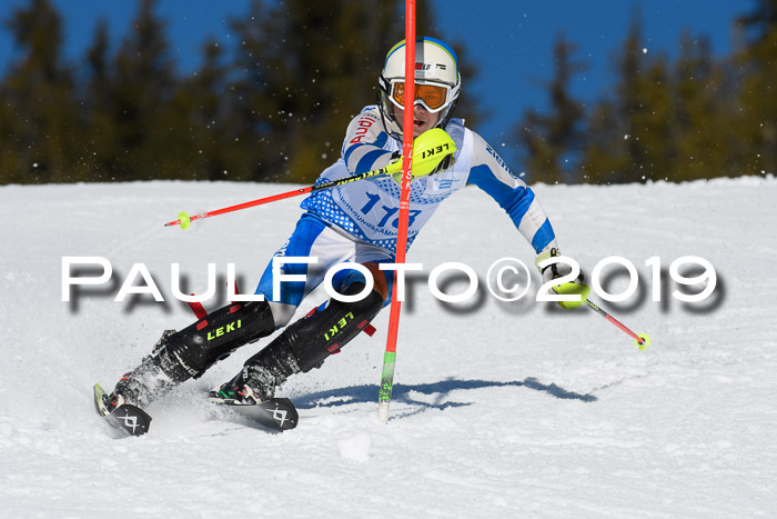 SVM U14/U16 Slalom 17.02.2019