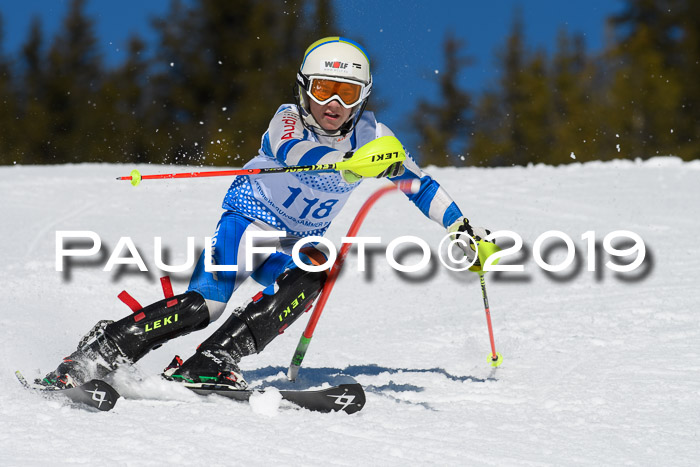 SVM U14/U16 Slalom 17.02.2019