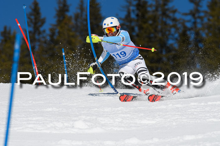 SVM U14/U16 Slalom 17.02.2019