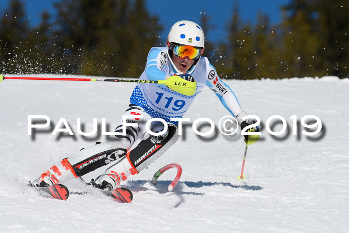 SVM U14/U16 Slalom 17.02.2019