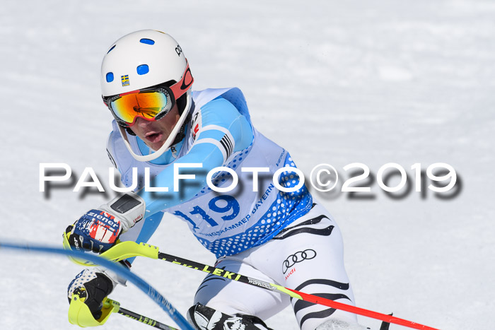 SVM U14/U16 Slalom 17.02.2019