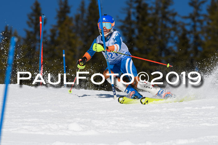 SVM U14/U16 Slalom 17.02.2019
