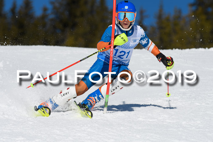 SVM U14/U16 Slalom 17.02.2019