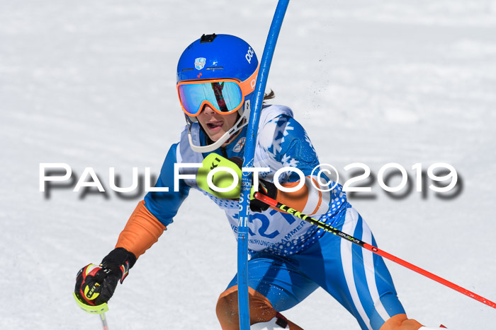 SVM U14/U16 Slalom 17.02.2019