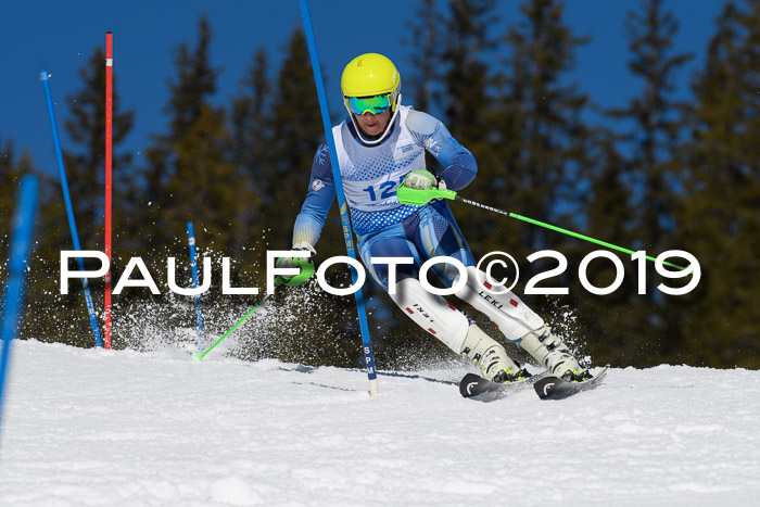 SVM U14/U16 Slalom 17.02.2019
