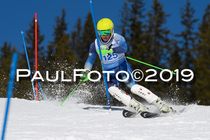 SVM U14/U16 Slalom 17.02.2019
