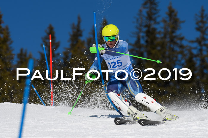 SVM U14/U16 Slalom 17.02.2019
