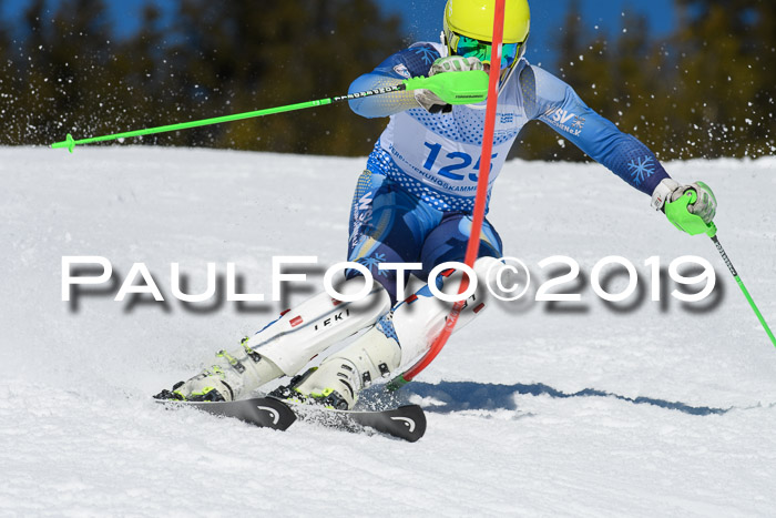SVM U14/U16 Slalom 17.02.2019