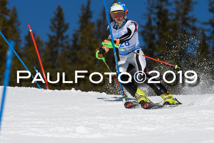 SVM U14/U16 Slalom 17.02.2019