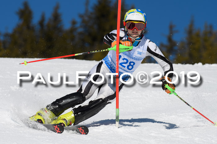 SVM U14/U16 Slalom 17.02.2019