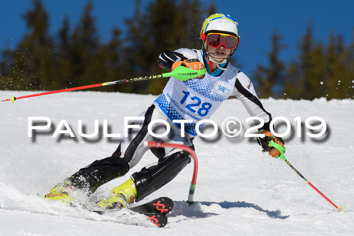SVM U14/U16 Slalom 17.02.2019