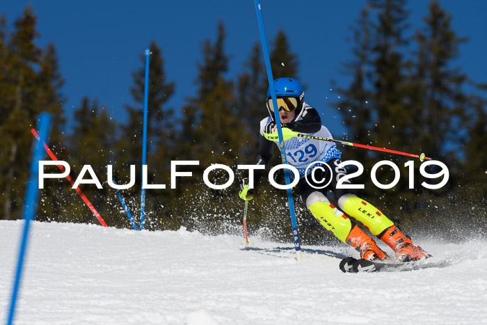 SVM U14/U16 Slalom 17.02.2019