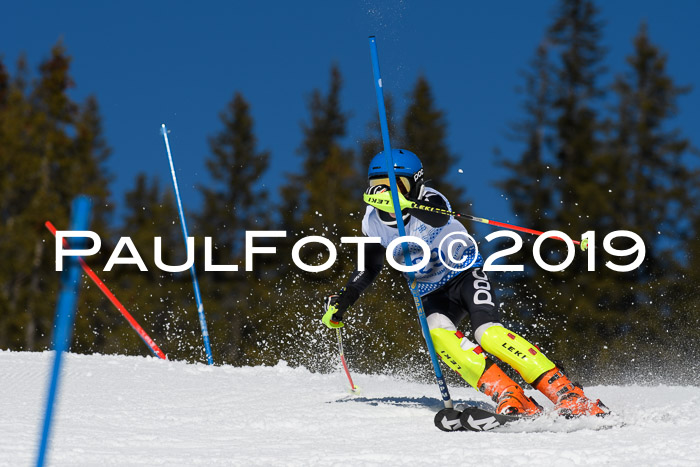 SVM U14/U16 Slalom 17.02.2019