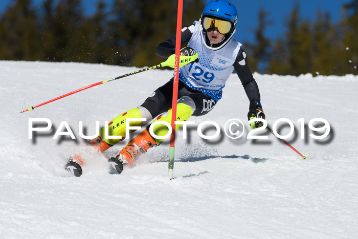 SVM U14/U16 Slalom 17.02.2019