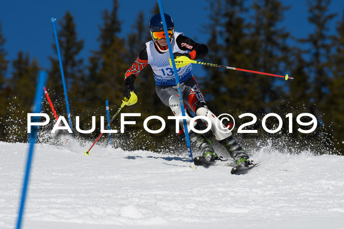 SVM U14/U16 Slalom 17.02.2019