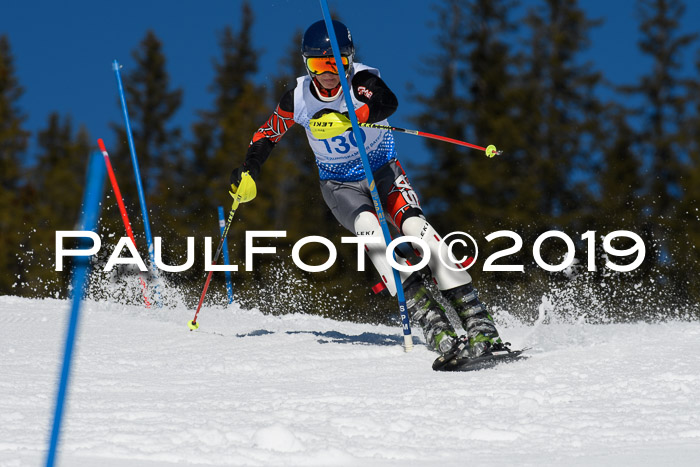 SVM U14/U16 Slalom 17.02.2019