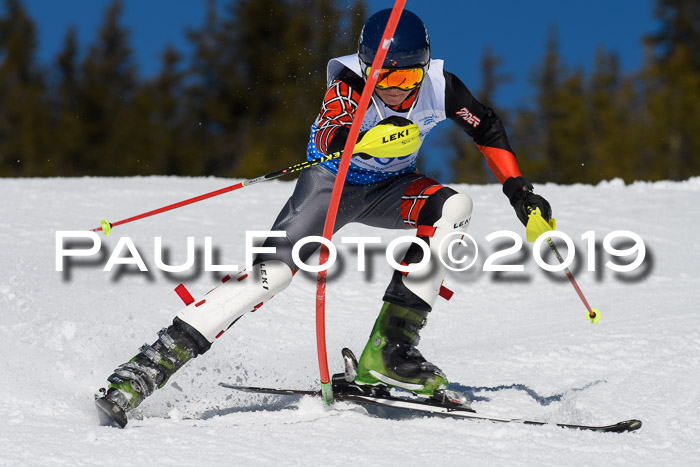 SVM U14/U16 Slalom 17.02.2019