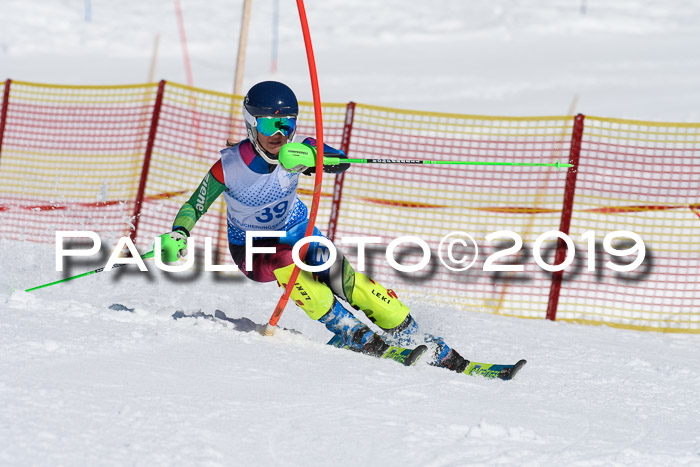SVM U14/U16 Slalom 17.02.2019