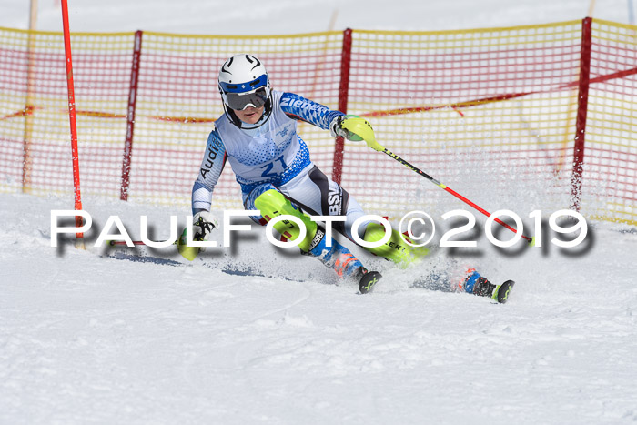 SVM U14/U16 Slalom 17.02.2019