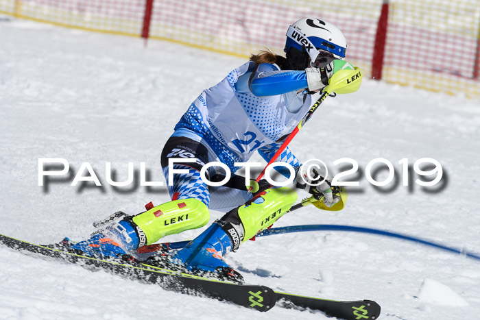 SVM U14/U16 Slalom 17.02.2019