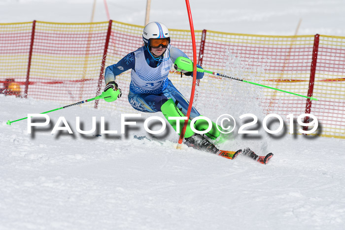 SVM U14/U16 Slalom 17.02.2019