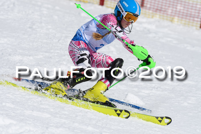 SVM U14/U16 Slalom 17.02.2019