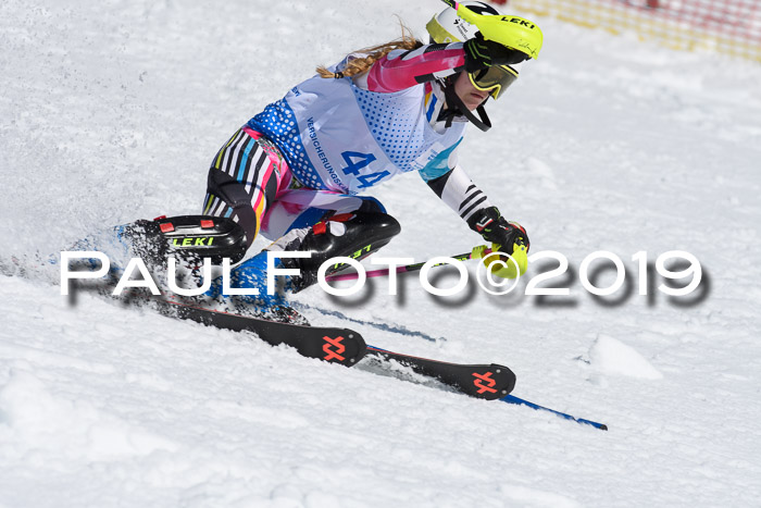 SVM U14/U16 Slalom 17.02.2019