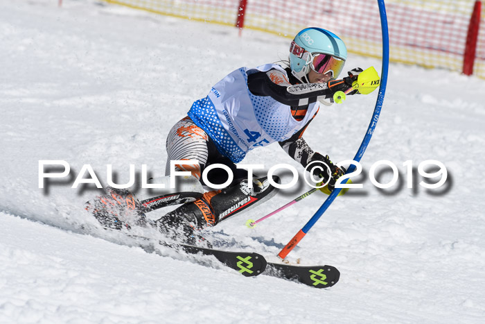 SVM U14/U16 Slalom 17.02.2019