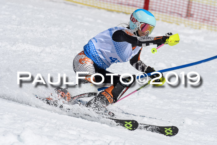SVM U14/U16 Slalom 17.02.2019