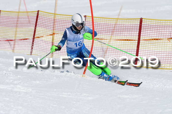 SVM U14/U16 Slalom 17.02.2019