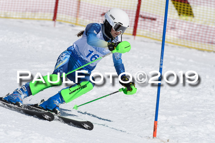 SVM U14/U16 Slalom 17.02.2019