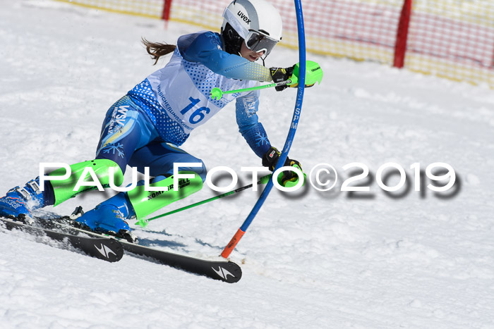 SVM U14/U16 Slalom 17.02.2019