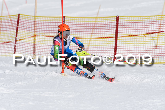 SVM U14/U16 Slalom 17.02.2019