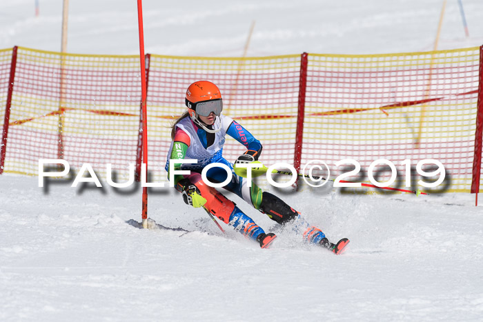 SVM U14/U16 Slalom 17.02.2019