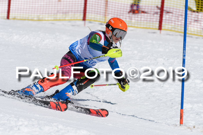 SVM U14/U16 Slalom 17.02.2019