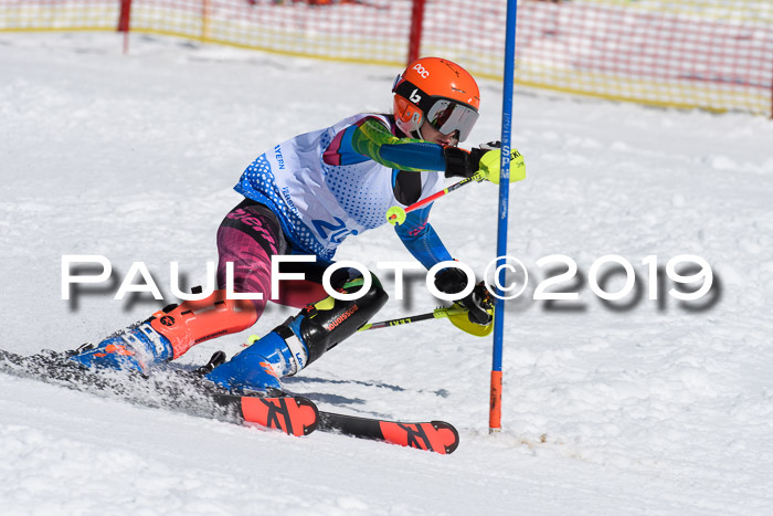 SVM U14/U16 Slalom 17.02.2019