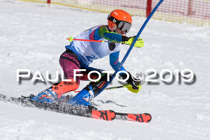 SVM U14/U16 Slalom 17.02.2019