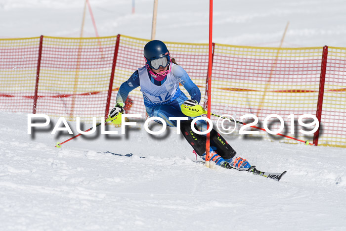 SVM U14/U16 Slalom 17.02.2019
