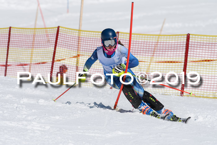 SVM U14/U16 Slalom 17.02.2019