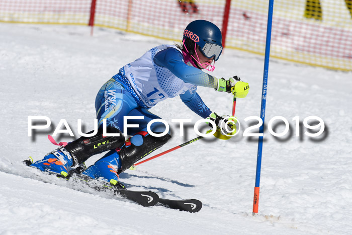SVM U14/U16 Slalom 17.02.2019