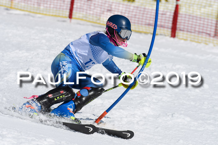 SVM U14/U16 Slalom 17.02.2019