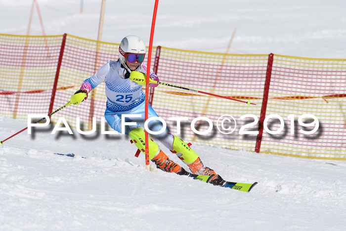 SVM U14/U16 Slalom 17.02.2019